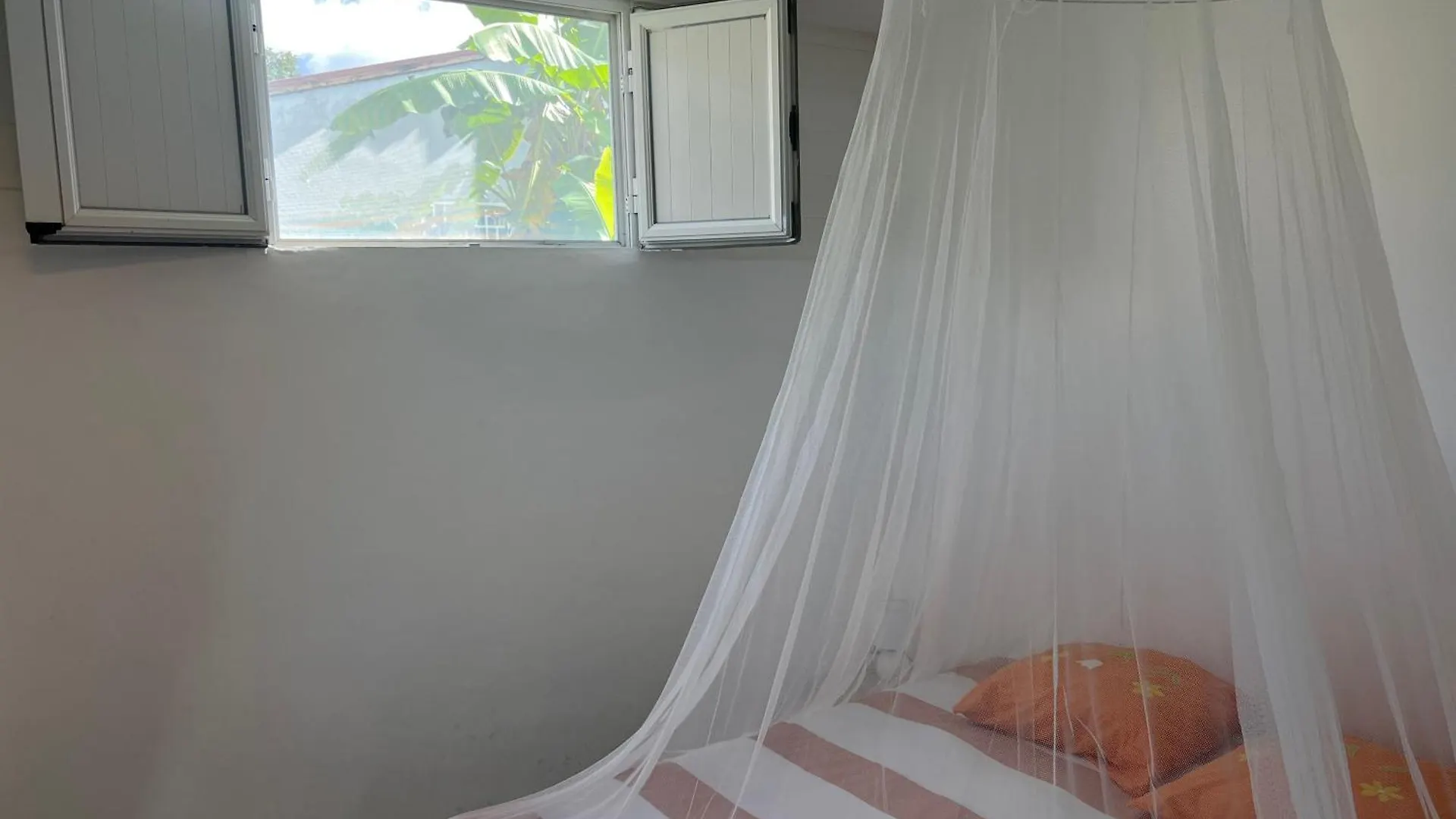 Gite Le Petit Manguier Les Abymes Apartment
